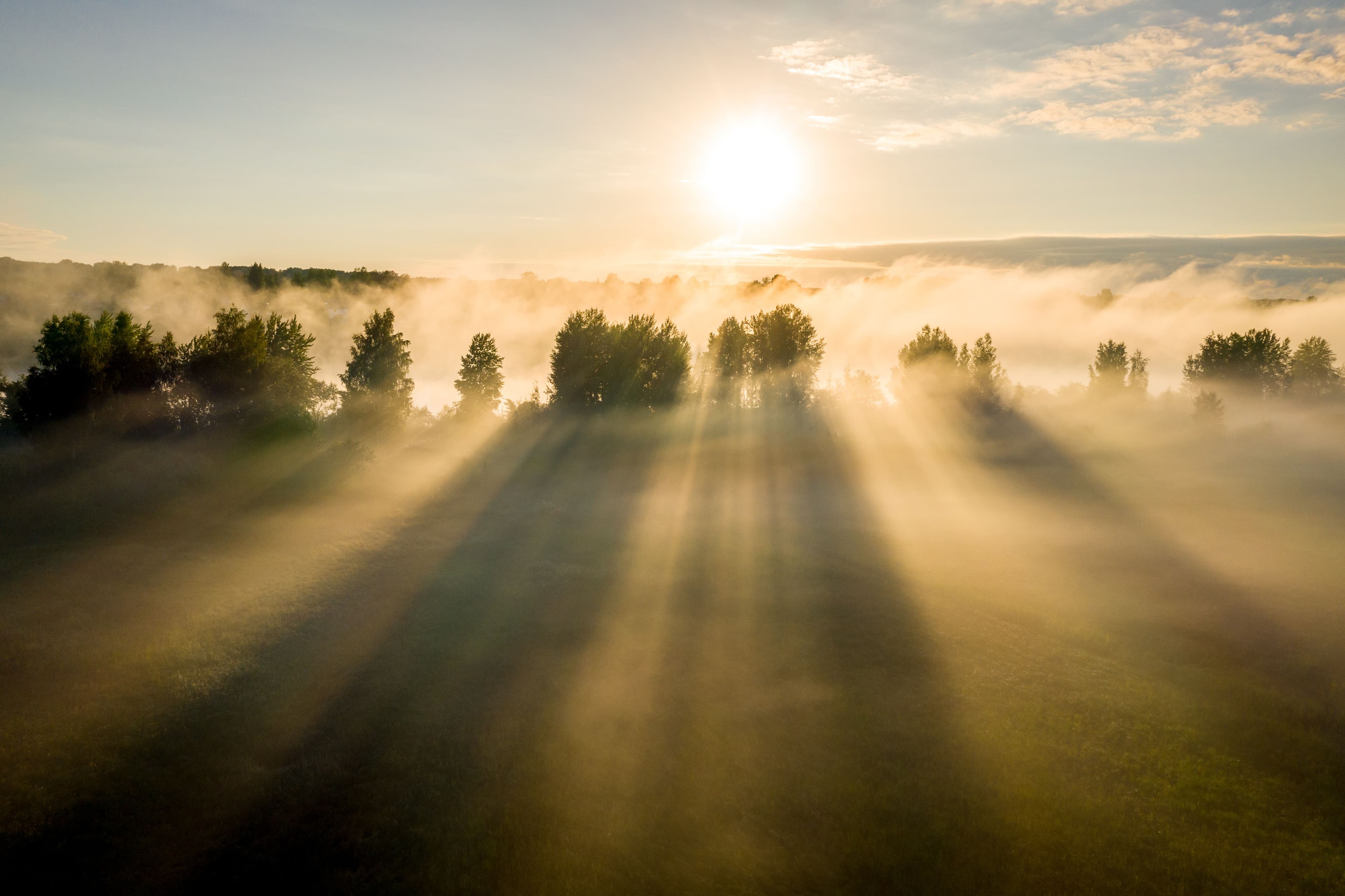 Grüne Natur mit schönem Sonnenaufgang