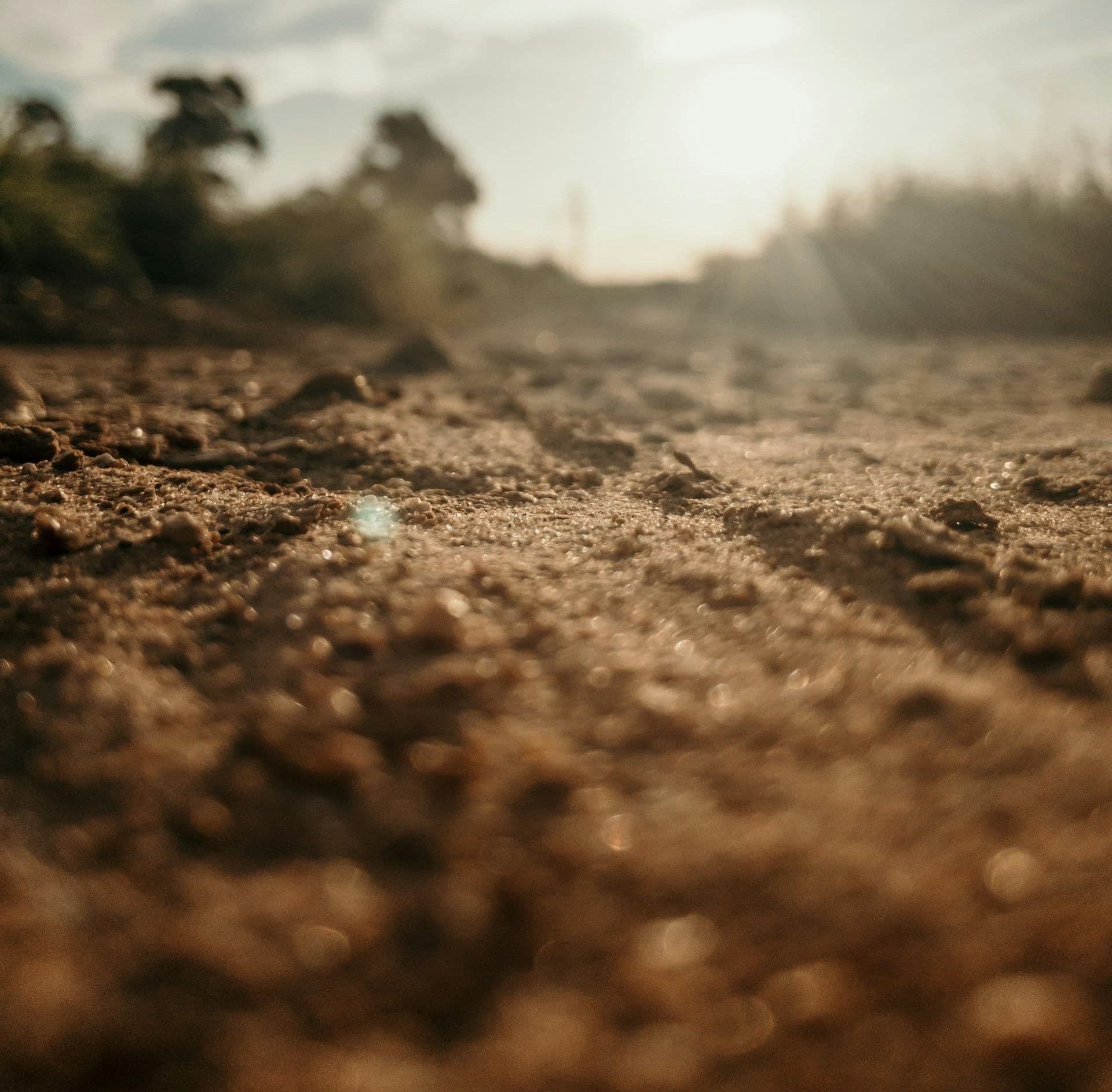 Close up of the ground with the sky out of focus
