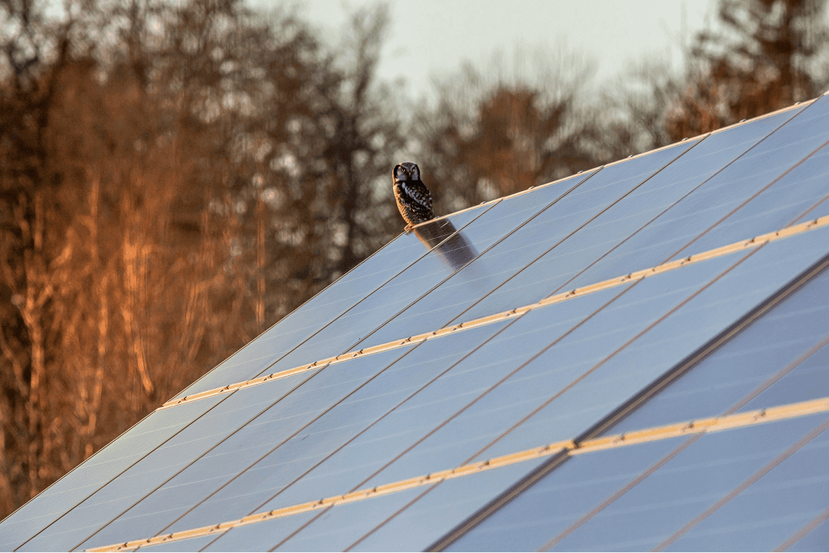 How to get more from your solar panels in winter